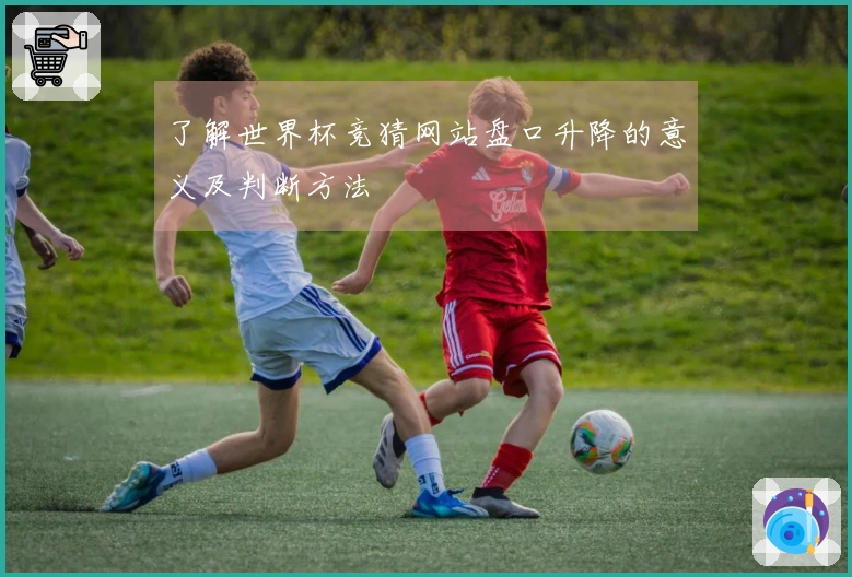 了解世界杯竞猜网站盘口升降的意义及判断方法