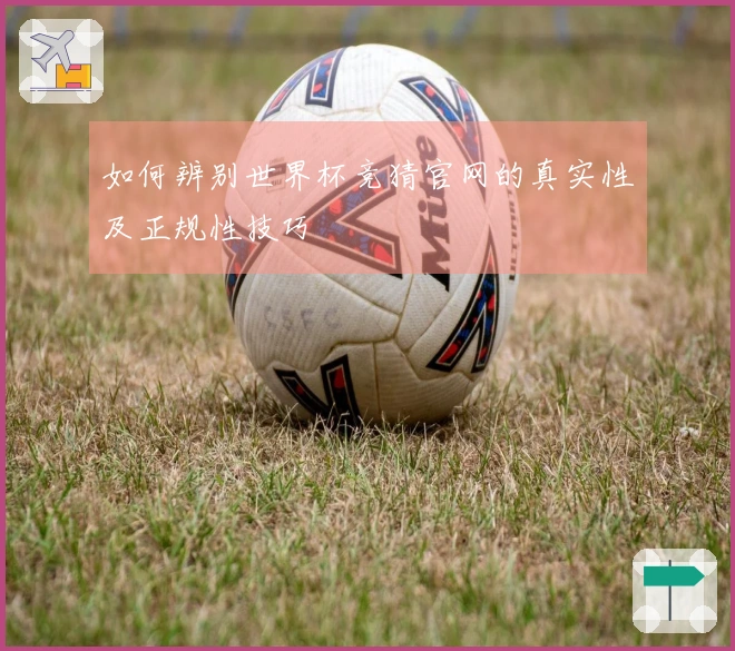 如何辨别世界杯竞猜官网的真实性及正规性技巧