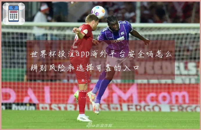 世界杯投注app海外平台安全吗怎么辨别风险和选择可靠的入口