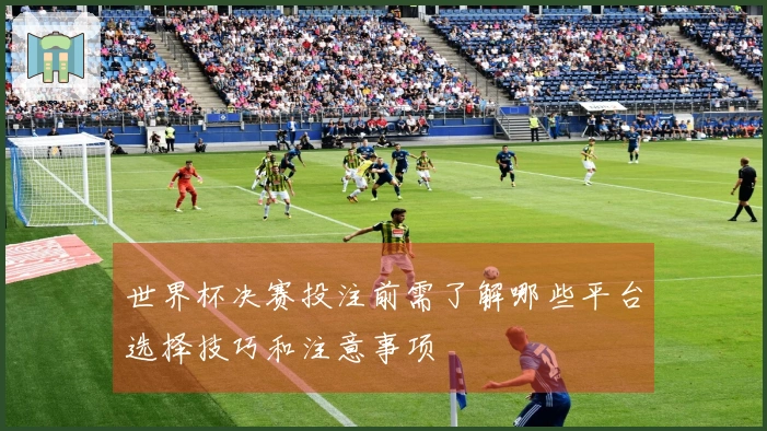 世界杯决赛投注前需了解哪些平台选择技巧和注意事项