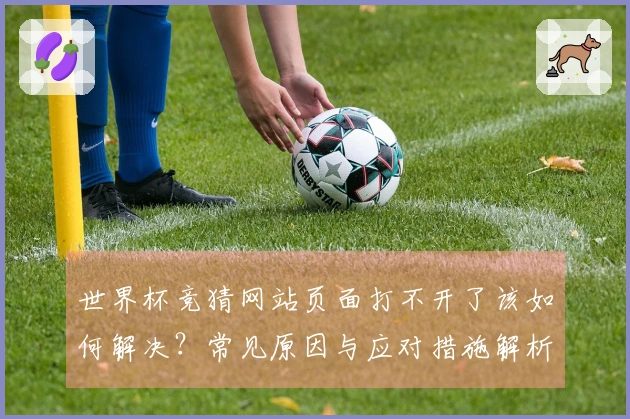 世界杯竞猜网站页面打不开了该如何解决？常见原因与应对措施解析
