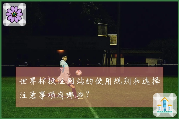 世界杯投注网站的使用规则和选择注意事项有哪些？
