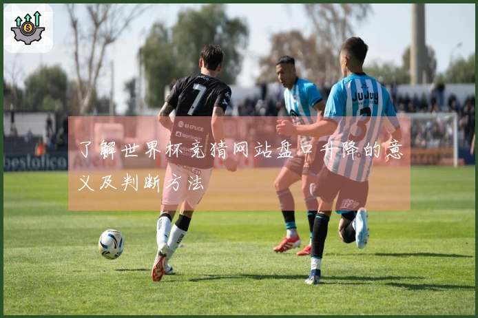 了解世界杯竞猜网站盘口升降的意义及判断方法