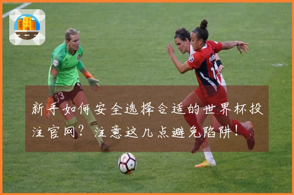 新手如何安全选择合适的世界杯投注官网？注意这几点避免陷阱！
