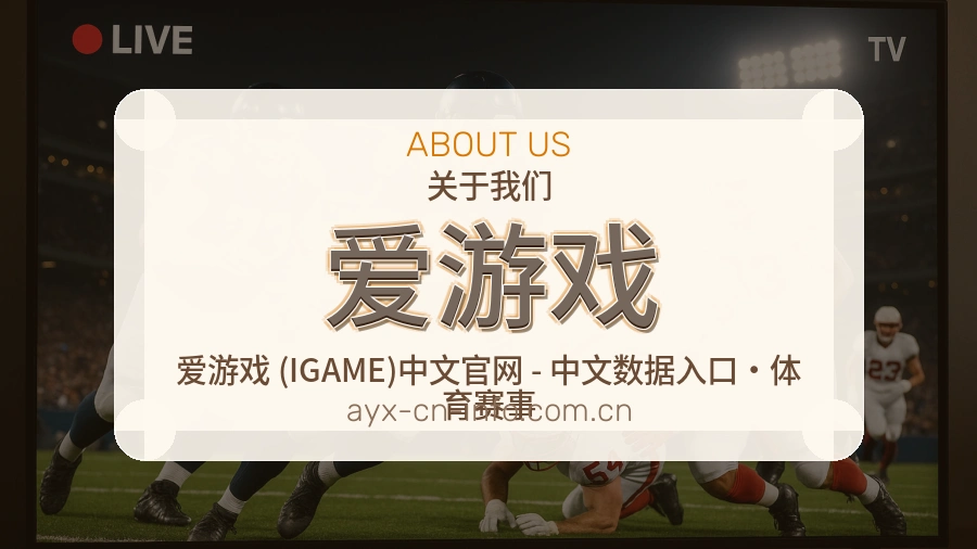 爱游戏关于我们